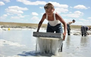 باوڑی نا سالو