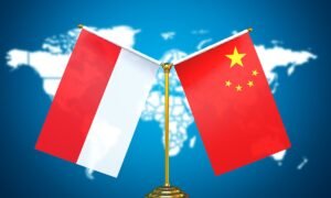 چینی نائب صدر