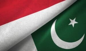پاکستان اور انڈونیشیا