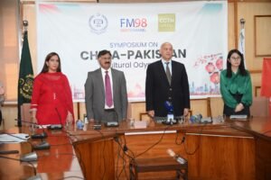 فاؤنڈیشن یونیورسٹی