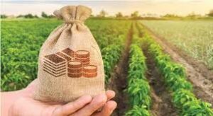 پنجاب اسمبلی