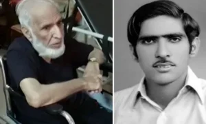 نذیر جونیئر