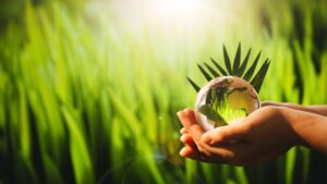 96 فیصد صنعتوں