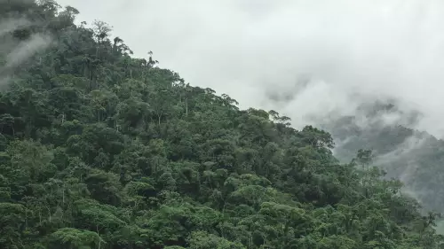 چین