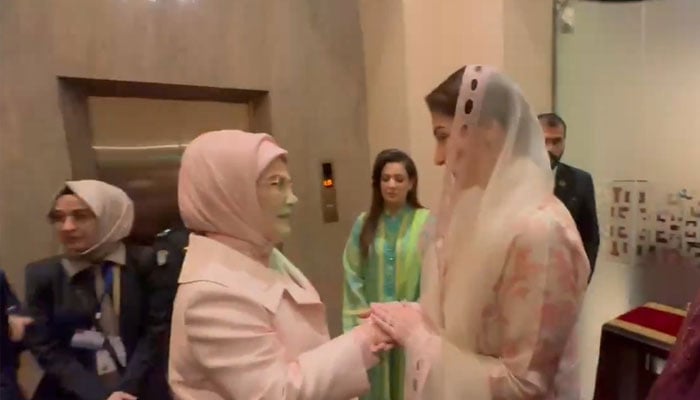 مریم نواز