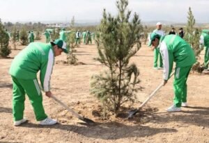 صدر سردار بردی محمدوف کی قیادت میں ترکمانستان میں وسیع پیمانے پر شجرکاری مہم