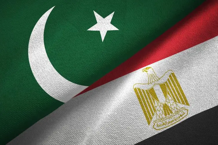 پاکستان اور مصر کا صحت کے شعبے میں تعاون بڑھانے پر اتفاق، ہیپاٹائٹس سی کے خاتمے پر خصوصی توجہ