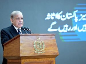 وزیراعظم شہباز شریف کا اوورسیز پاکستانیوں کے لیے خصوصی پیکج کا اعلان، خصوصی عدالتوں اور تعلیمی کوٹے سمیت متعدد اقدامات کا اعلان