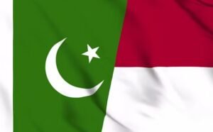پاکستان اور انڈونیشیا کا ویکسین سازی میں تعاون پر اتفاق، صحت کے شعبے میں شراکت داری کا نیا باب