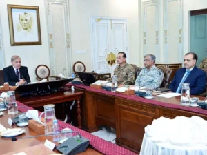 قومی سلامتی کمیٹی کی اسرائیلی جارحیت کی شدید مذمت، ایران کے حقِ دفاع کی توثیق