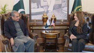 قائم مقام امریکی سفیر نٹالی بیکر کی وفاقی وزیر داخلہ محسن نقوی سے ملاقات، علاقائی سلامتی اور دوطرفہ تعاون پر تبادلہ خیال