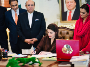 وزیر خزانہ پنجاب نے 5,335 ارب روپے کا ٹیکس فری بجٹ پیش کر دیا، وزیر اعلیٰ مریم نواز نے اسے "تاریخی عوامی خدمت پیکج" قرار دیا