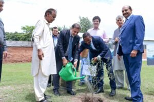 خوراکی تحفظ