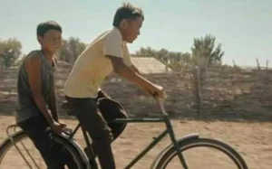 باورنا سالو