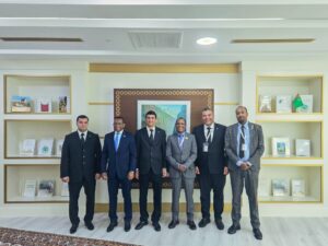 ایل ایل ڈی سی 3