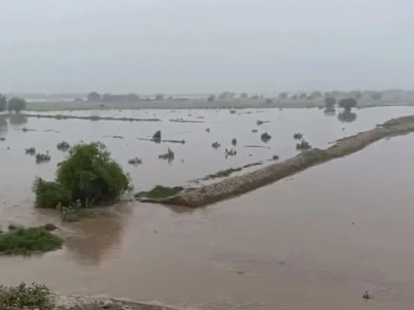 چیچہ وطنی