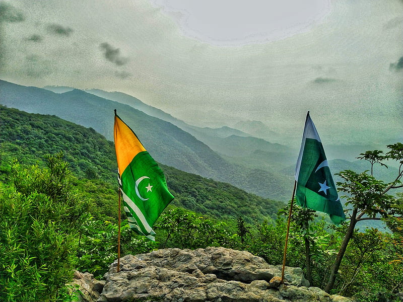 نیلہ بٹ