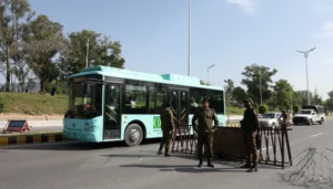 سروسز