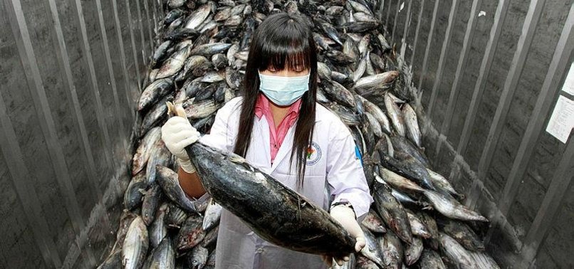 G7 calls for immediate repeal of bans on Japanese food 1 G7 calls for immediate repeal of bans on Japanese food