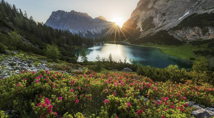 EU agree on law to restore nature 7 EU agree on law to restore nature