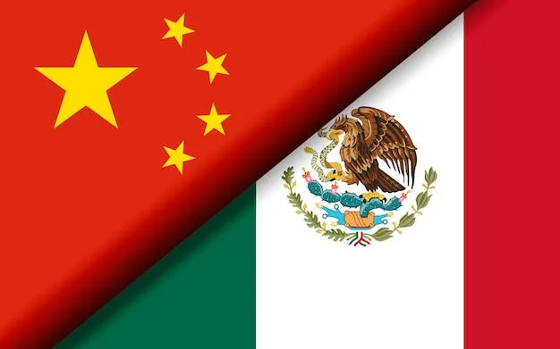 Chinese VP meets with Mexican FM