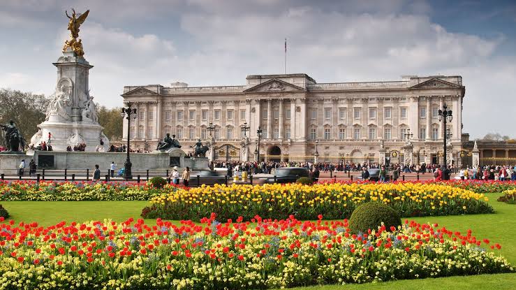 Buckingham Palace is considering all options after King Charles and Kate named in Archie ‘skin colour’ row