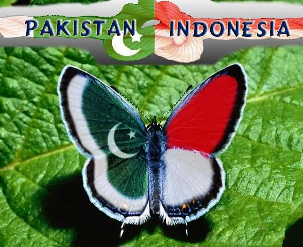 Indonesia and Pakistan Friendship 1 Indonesia and Pakistan Friendship
