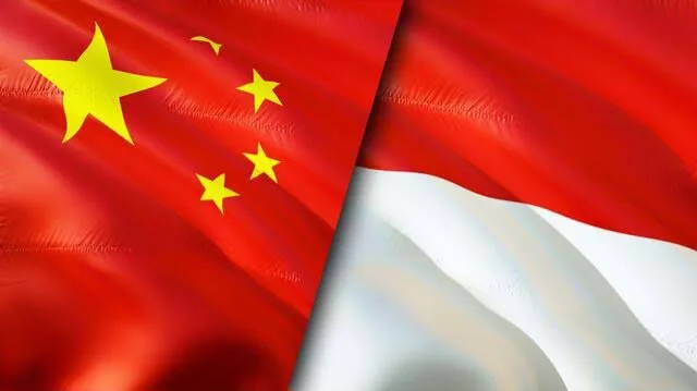 RCEP Sparks Economic Synergy: Strengthening Trade Collaboration Between China and Indonesia 9 RCEP