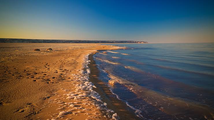 On the commencement of Astana's Chairmanship in the International Fund for Saving the Aral Sea 1 International Fund for Saving the Aral Sea