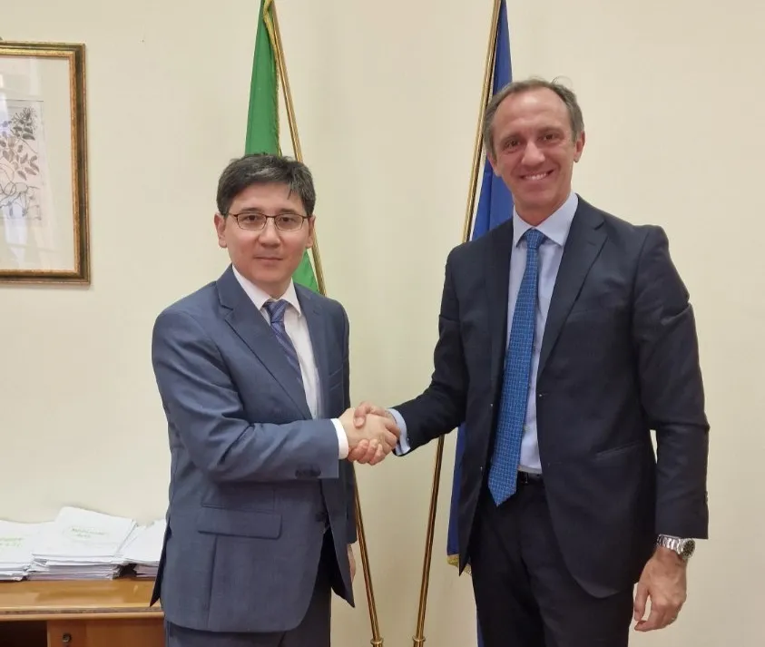 Italian Diplomatic Adviser