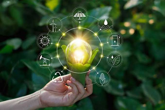 Building a Sustainable Future: Youth Leadership in Resource Management