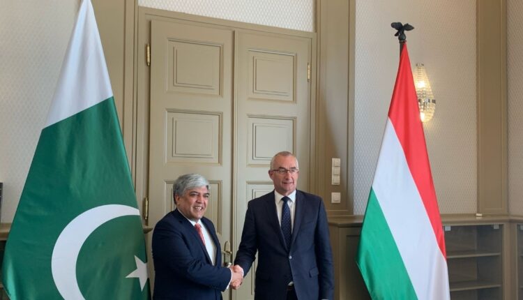 Pakistan and Hungary Hold 6th Round of Bilateral Political Consultations in Budapest 9 Budapest