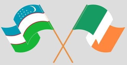 Uzbekistan's Ambassador to UK Holds Video Conference with Irish Foreign Affairs Official 1 Irish