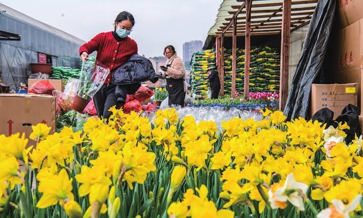 China's Public Budget Spending