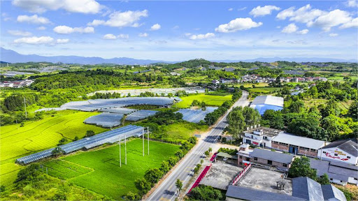 Chinese Super League