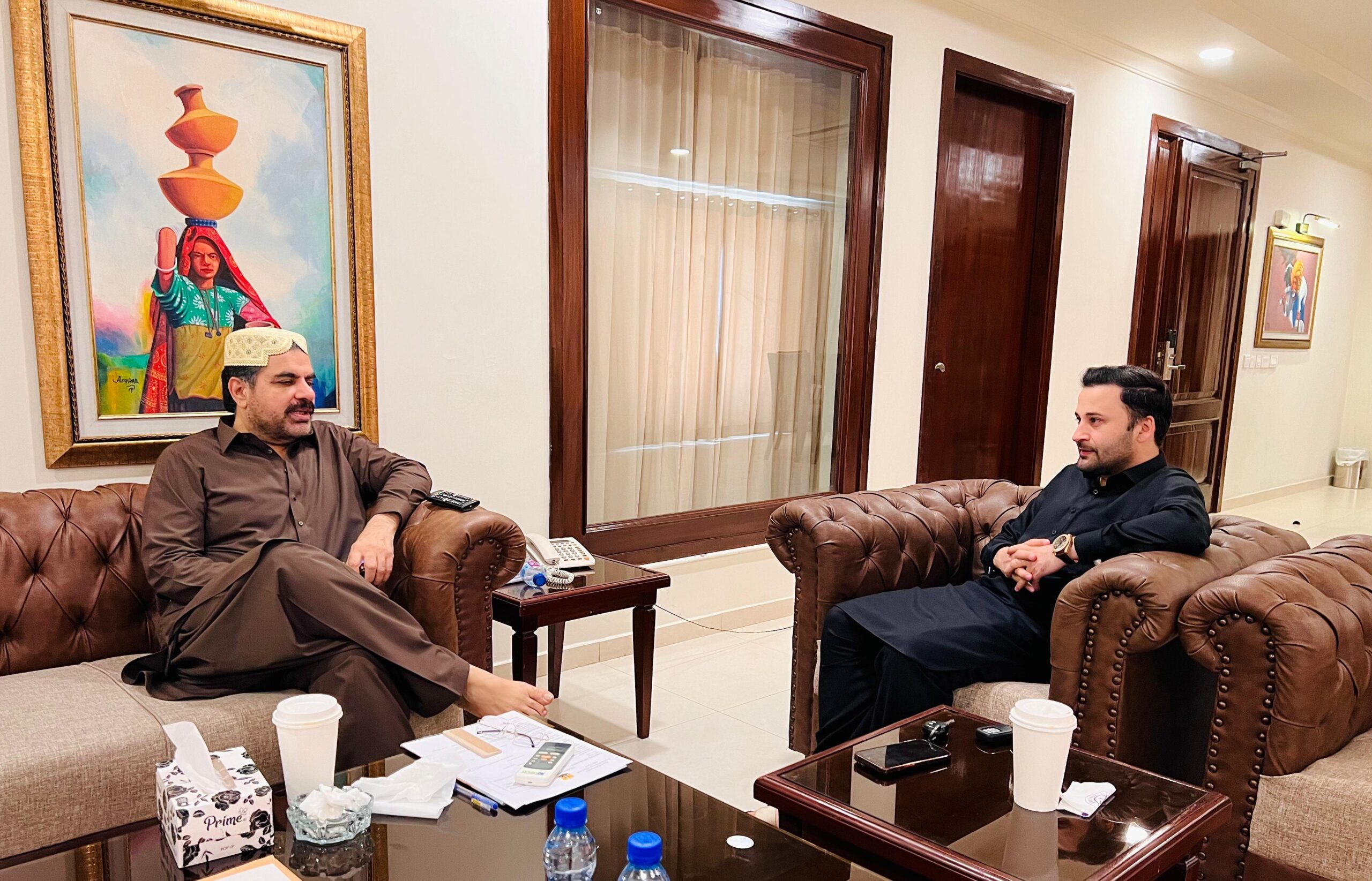 Qaiser Nawab, President of BRISD, Meets with Minister Syed Nasir Hussain Shah to Discuss Renewable Energy and Youth Empowerment in Sindh 1 Qaiser Nawab