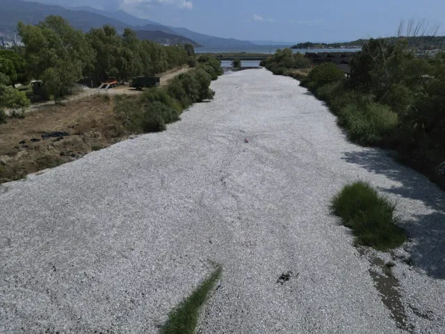 Greece Declares State of Emergency in Volos Amid Mass Fish Die-Off 1 Emergency