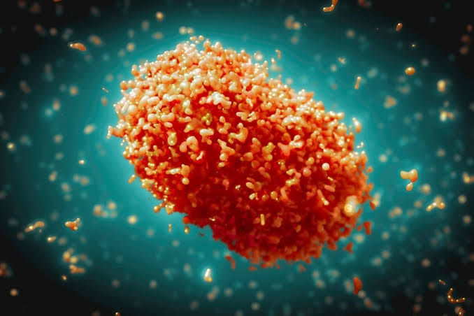 African Union Declares Public Health Emergency Over Mpox Outbreak 1 African Union