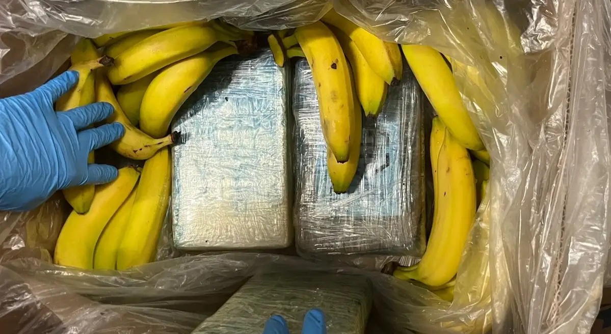 95 Kilograms of Cocaine Discovered in Banana Crates at German Supermarket Chain 1 cocaine