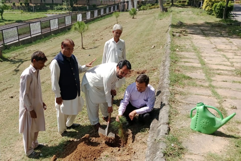 Growing Green: National Library of Pakistan Launches Tree-Planting Campaign with Ministry of Climate Change 1 National Library of Pakistan