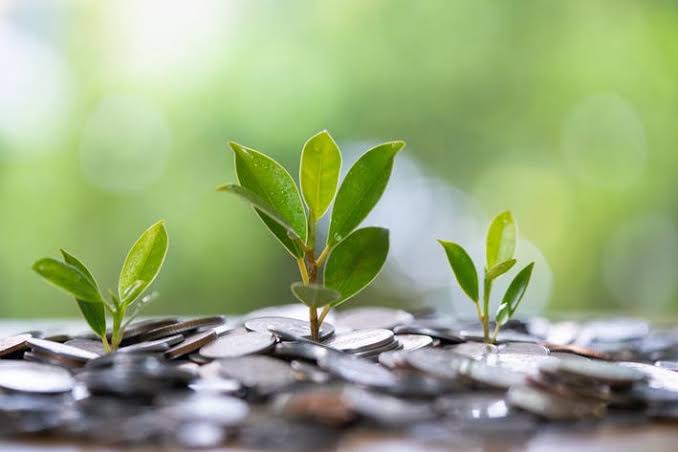 Việt Nam Urged to Mobilize Green Financial Resources for Sustainable Growth 1 Việt Nam