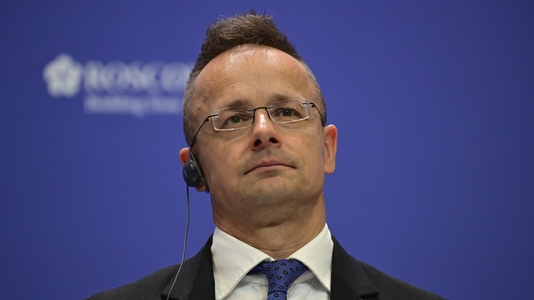 Hungarian Foreign Minister Accuses NATO Members of Unfair Treatment Towards Ukraine's Membership Aspirations 1 Hungarian Foreign Minister