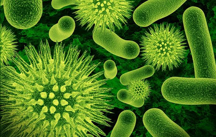 Sub-Saharan Africa Faces Alarming Surge in Antimicrobial Resistance Deaths 1 Sub-Saharan Africa