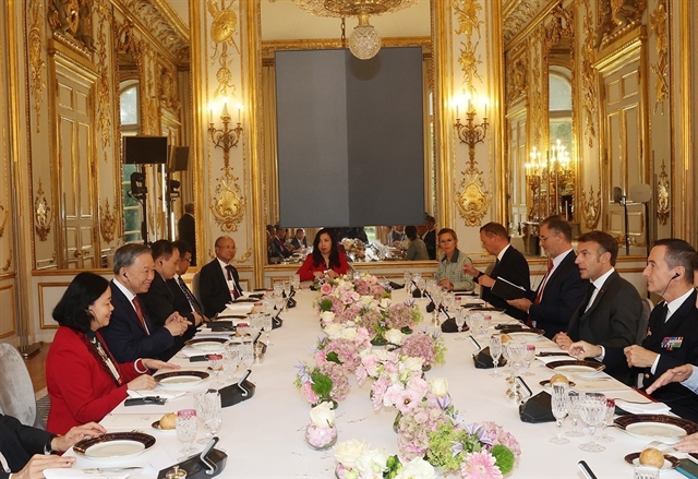 Vietnam and France Elevate Ties to Comprehensive Strategic Partnership 1 Vietnam