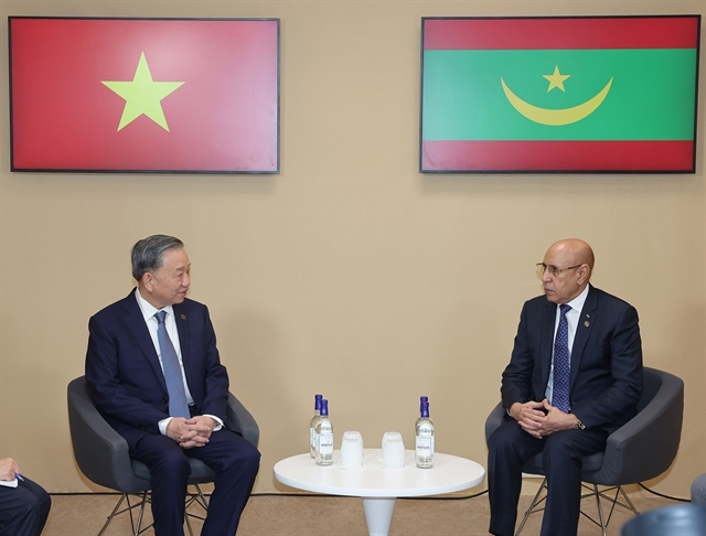 Vietnam and Mauritania Forge Closer Ties During Leadership Meeting in Paris 1 Vietnam