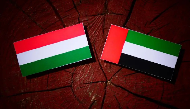 UAE and Hungary Discuss Strengthening Parliamentary Ties in Virtual Meeting 1 virtual meeting