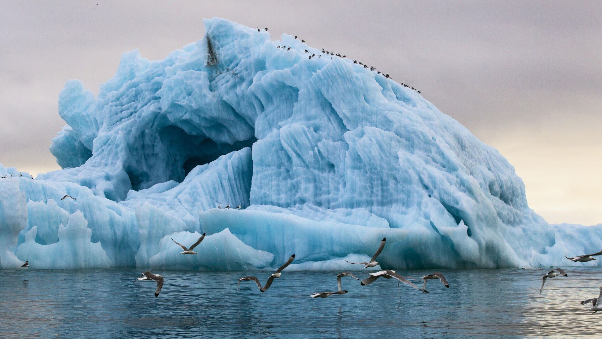 Arctic Glacier Near Russia’s Franz Josef Land Disappears Amid Rising Temperatures, Russian Geographical Society Reports 1 Arctic Glacier Near Russia’s Franz Josef Land Disappears Amid Rising Temperatures, Russian Geographical Society Reports