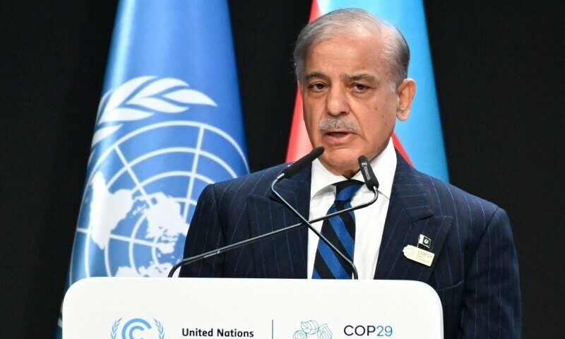 COP29