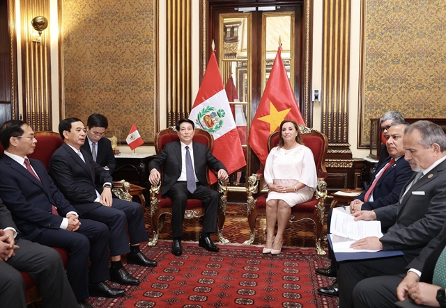 Vietnamese President Lương Cường and Peruvian President Dina Boluarte Discuss Strengthening Bilateral Relations in Lima 1 Dina Boluarte