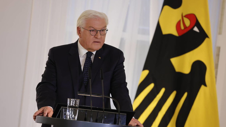 German President Steinmeier Ready to Call Snap Elections Amid Coalition Collapse 1 Steinmeier